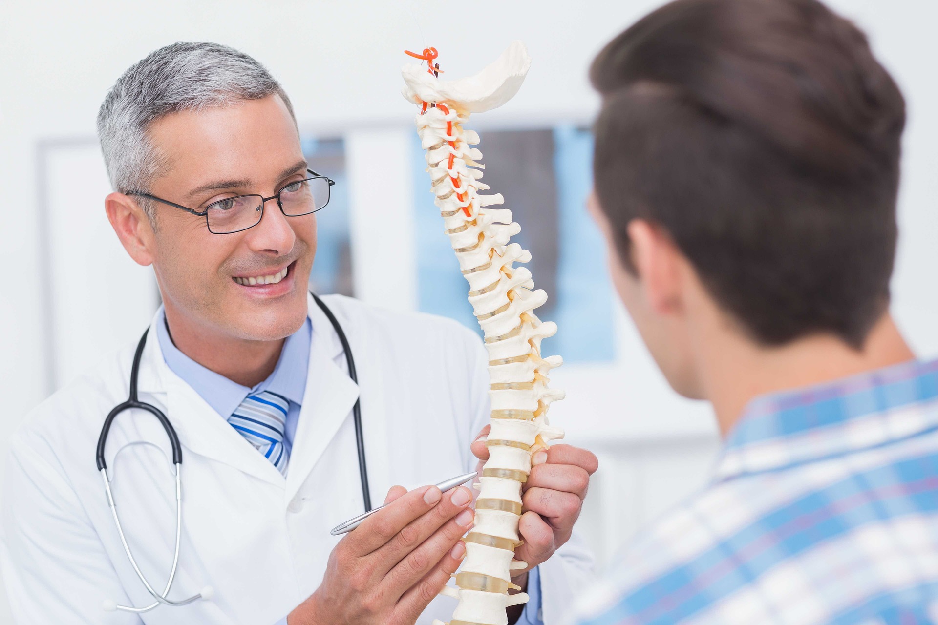 Doctor holding a plastic spine educates a patient on how chiropractic adjustments allow the nervous system to communicate better